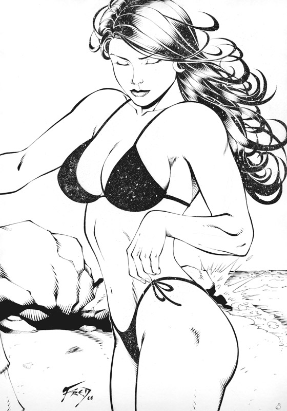 Donna Troy by Fred Benes 