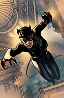 CATWOMAN #73