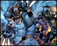 Spider-Man Hulk Wolverine