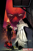 Amazing Spider-Man #638 (Variant Cover)