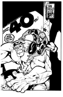 Hulk Spidey Comic Con 2002 art