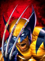 Wolverine By Greg Horn