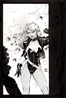 Black Canary by Jim Lee