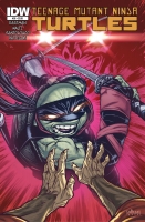 Teenage Mutant Ninja Turtles #36