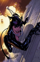 CATWOMAN: THE LONG ROAD HOME