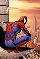 Amazing Spider-Man: Swing Shift