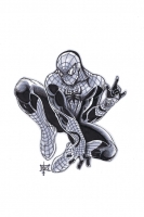 Amazing Spiderman by Maus