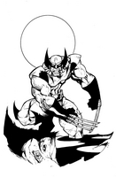 Wolverine commission art