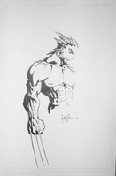 Turner's Wolverine