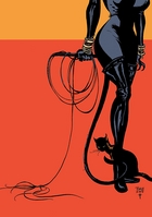 CATWOMAN: WHEN IN ROME HC