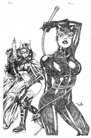 Catwoman and Huntress by Ron Adrian