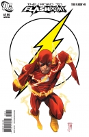 The Flash # 9