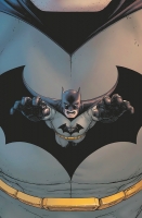 BATMAN, INCORPORATED #13