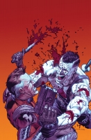 BLOODSHOT AND H.A.R.D. CORPS #22 (NEW ARC!)