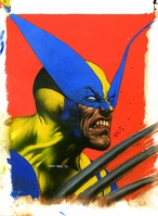 Wolverine By Glenn Fabry